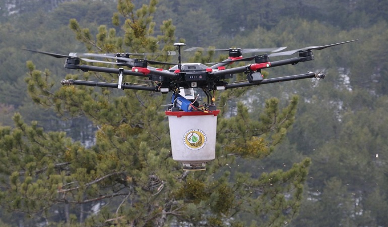 Karaçam tohumları drone ile toprağa kavuştu