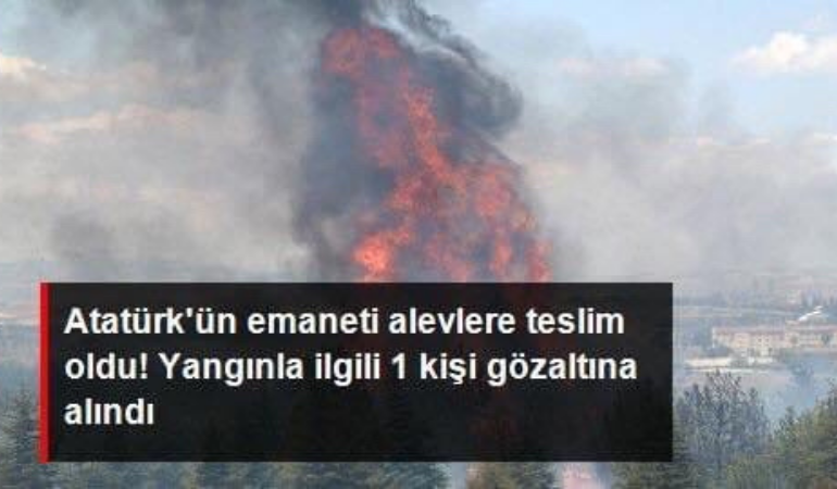 Ankara'da Atatürk Orman Çiftliği'nde korkutan yangın! 1 kişi kundaklama iddiasıyla gözaltına alındı