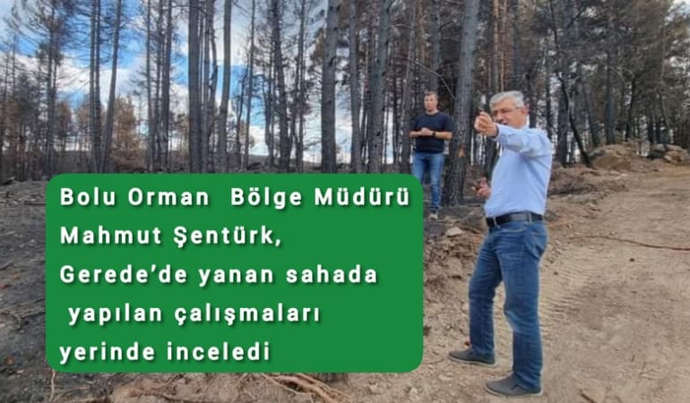 Bolu Bölge Müdürü Mahmut Şentürk, Gerede’de yanan sahada yapılan çalışmaları yerinde inceledi