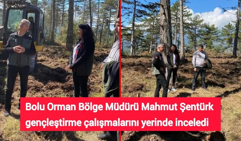 Bolu Orman Bölge Müdürü Mahmut Şentürk gençleştirme çalışmalarını yerinde inceledi