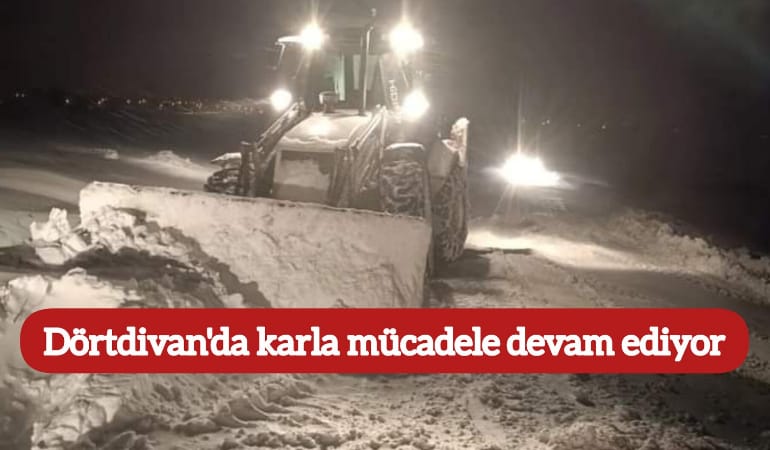 Dörtdivan’da mücadele devam ediyor