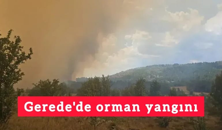 Gerede'de orman yangını