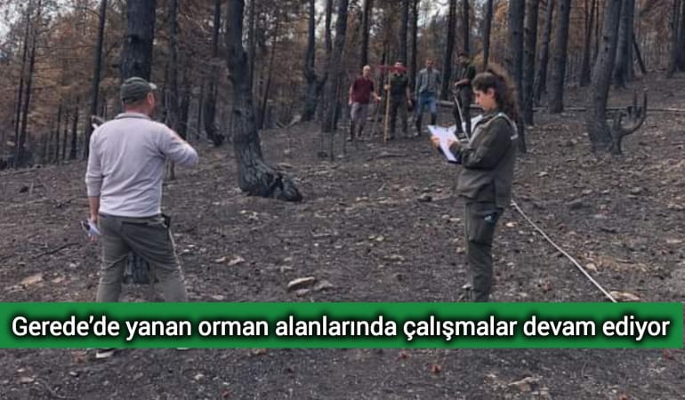 Gerede’de yanan orman alanlarında çalışmalar devam ediyor