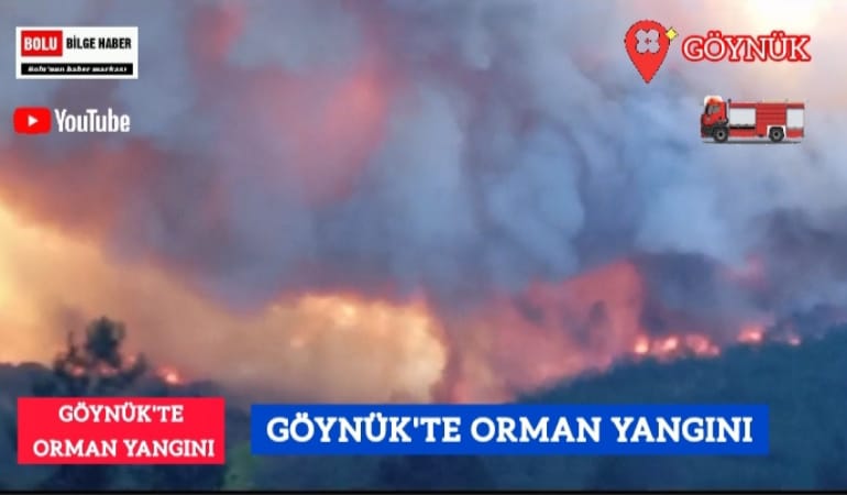 Göynük'te orman yangını