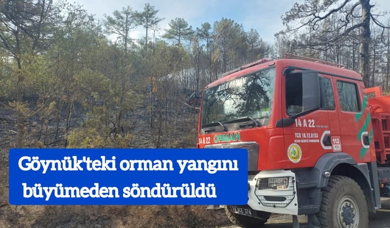 Göynük’te orman yangını büyümeden söndürüldü