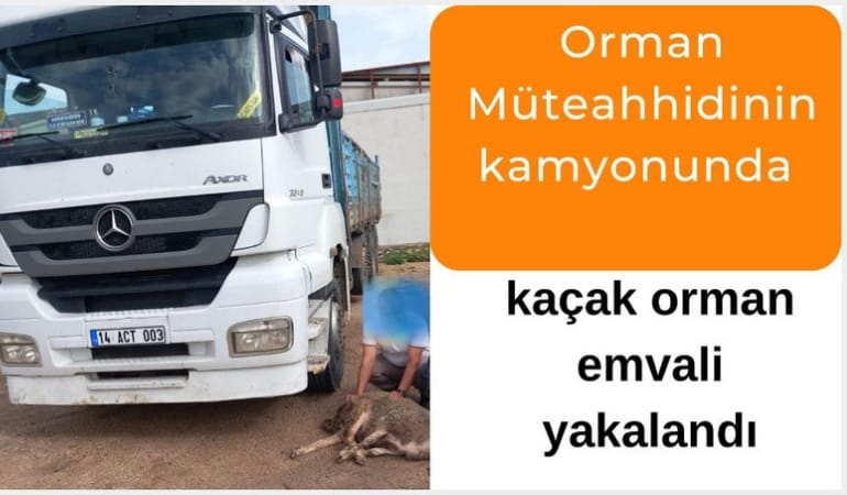 Orman müteahhidinin kamyonunda kaçak orman emvali yakalandı