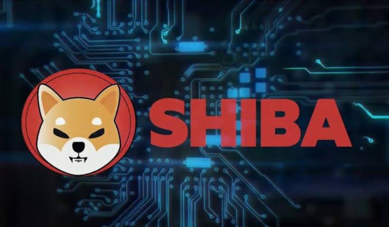 Shiba Inu listeleniyor