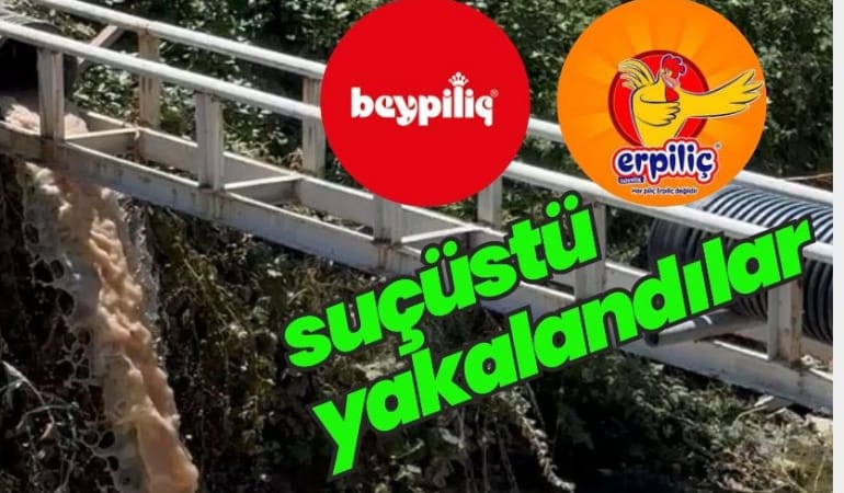 Suçüstü yakalandılar